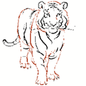 Team Page: Pathfinder Program